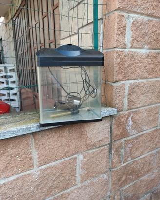 Acquario 16 litri 