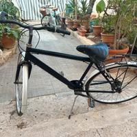 Bicicletta da uomo