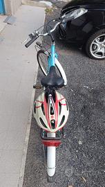 Bicicletta da ragazza Venere