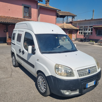 Trasporto animali vivi Doblo' Fiat
