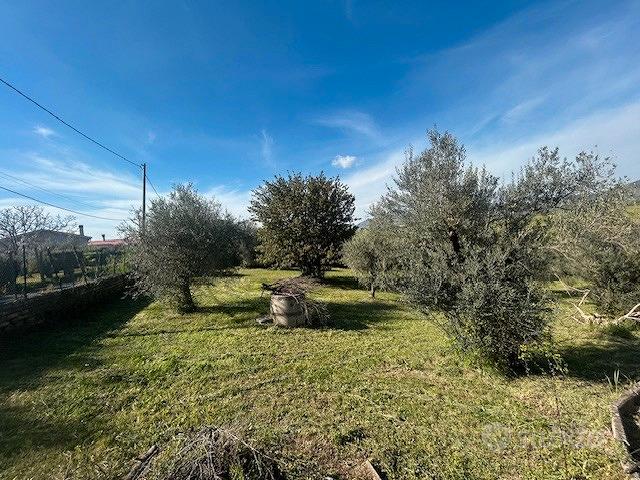 Uliveto - Vista 2