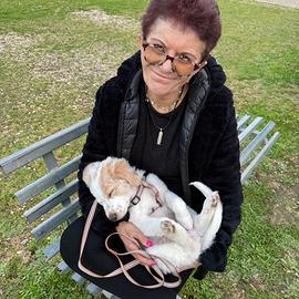 Badante sostituzioni