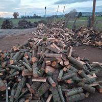 legna da ardere consegna su benevento 