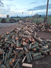 legna da ardere consegna su benevento 
