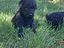 Immagine 10