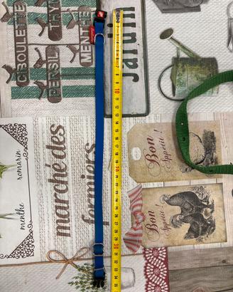 Collare piccolo cane/gatto