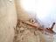Immagine 15