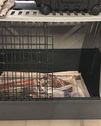 Trasportino per animali