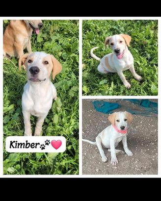 Tutti piccoli dolciuzzi