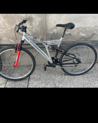 bicicletta 