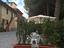 Immagine 11
