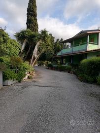 Terreni e fabbricati