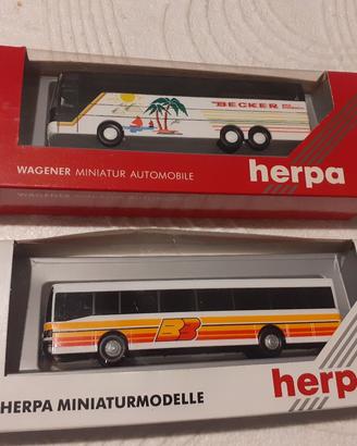 coppia autobus modellismo h0 