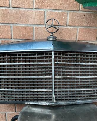 Griglia con stemma Mercedes