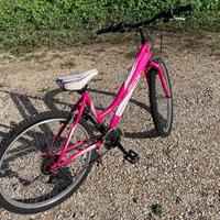 Bici velo marche graphic