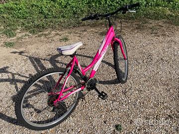 Bici velo marche graphic