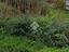 Immagine 20