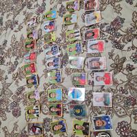 Figurine Panini 2007-08/ 2008-09/ Mondiali