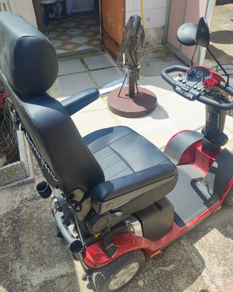 Scooter anziani/disabili Maxi Reale