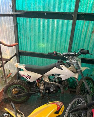pitbike kxd moto 125cc