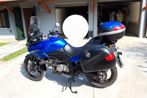 Suzuki v strom