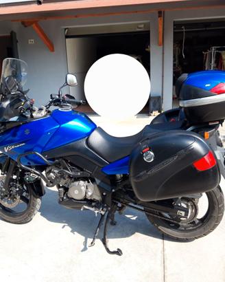 Suzuki v strom