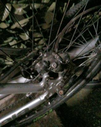 bici mtb e welie bike