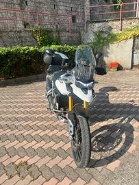 Tiger 900 rally pro