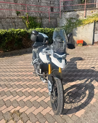 Tiger 900 rally pro