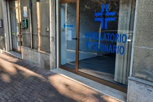 Locale commerciale pronto all'uso