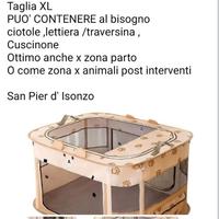 box  x cuccioli cani e gatti 