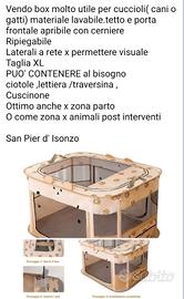 box  x cuccioli cani e gatti 