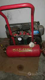 Compressore per raccolta olive