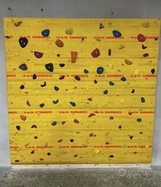 Parete arrampicata homeMade