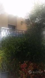 Immobile in asta di 207 m² con più di 5 locali a P