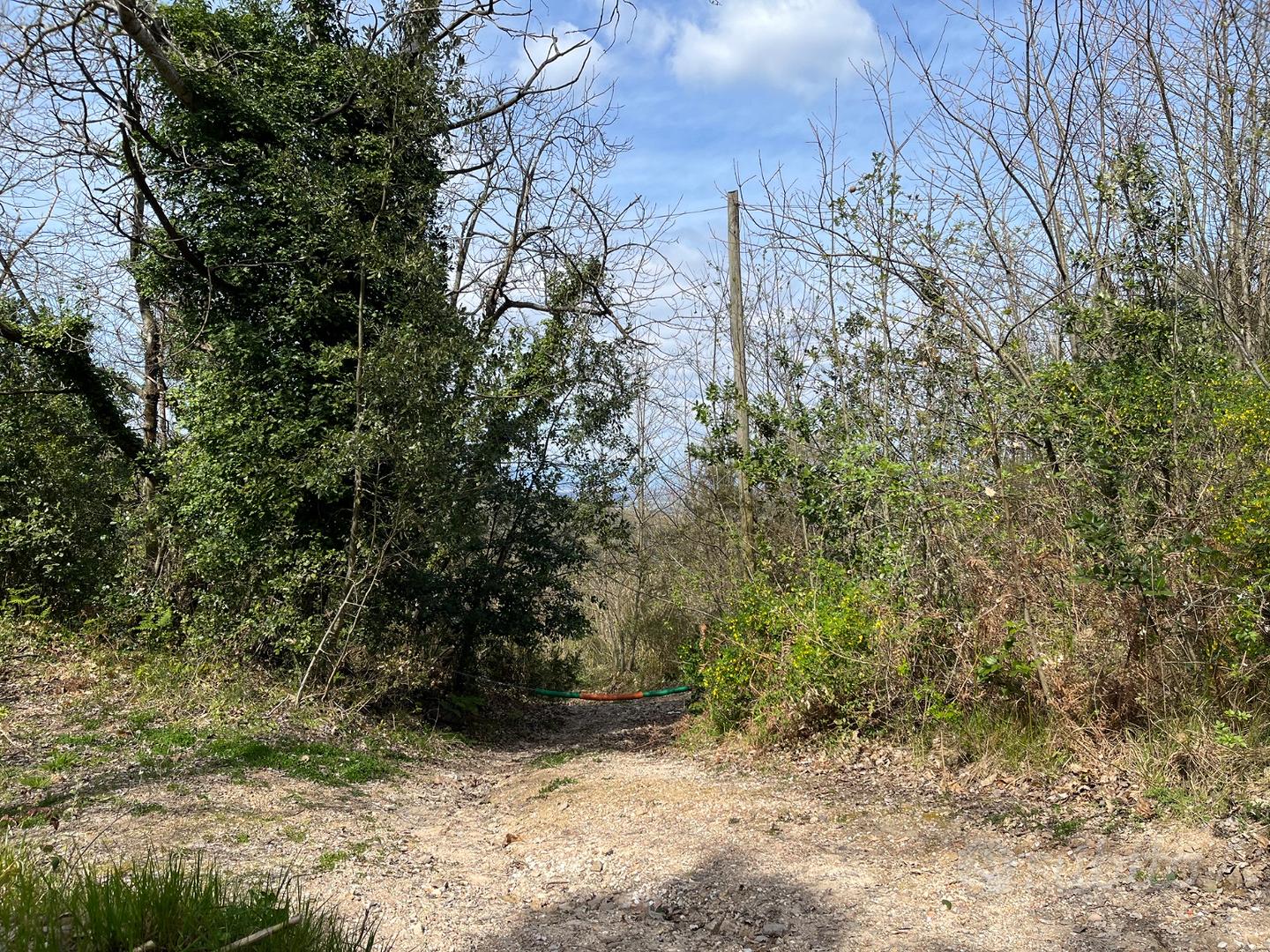 Terreno agricolo con rudere rurale Chianni (PI) - Vista 2