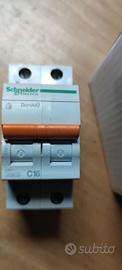 Interruttore differenziale Schneider 