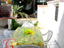 Immagine 9