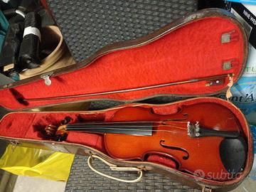 violino 