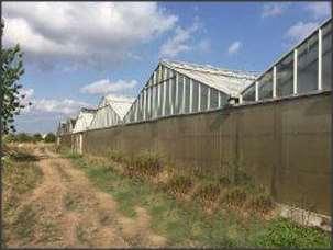 Azienda Agricola a Aprilia