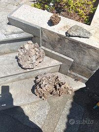 COLLEZIONE MINERALI