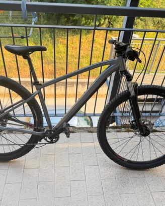 bici MTB hardtail