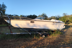 Fiarth Super Arrow barca