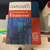 Dizionario Compatto di Francese come nuovo