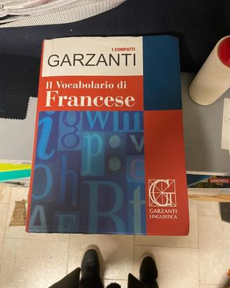 Dizionario Compatto di Francese come nuovo