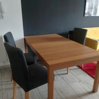 Set Tavolo da Pranzo e Sedie rifoderabili