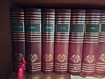 Raccolta di 25 tra i volumi collezione Premi nobel