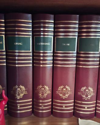 Raccolta di 25 tra i volumi collezione Premi nobel