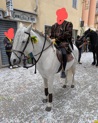 Cavalli Andalusi