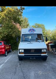 Wingamm 600 oasi